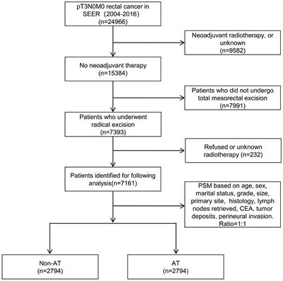 A Prognostic Nomogram for T3N0 Rectal Cancer After Total Mesorectal Excision to Help Select Patients for Adjuvant Therapy